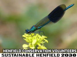 Henfield Conservation Volunteers and Sustainable Henfield 2030